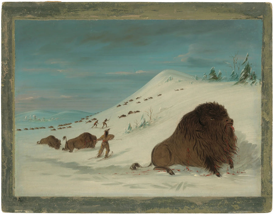 Bison karlar içinde koşuyor - Sioux - George Catlin