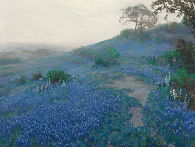 Mavi Bonnet Tarlası, erken sabah, San Antonio, Teksas - Julian Onderdonk