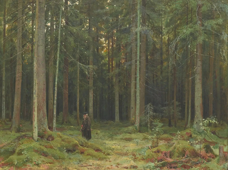 Countess Mordvinova'nın Ahşabı. Peterhof - Ivan Chichkine