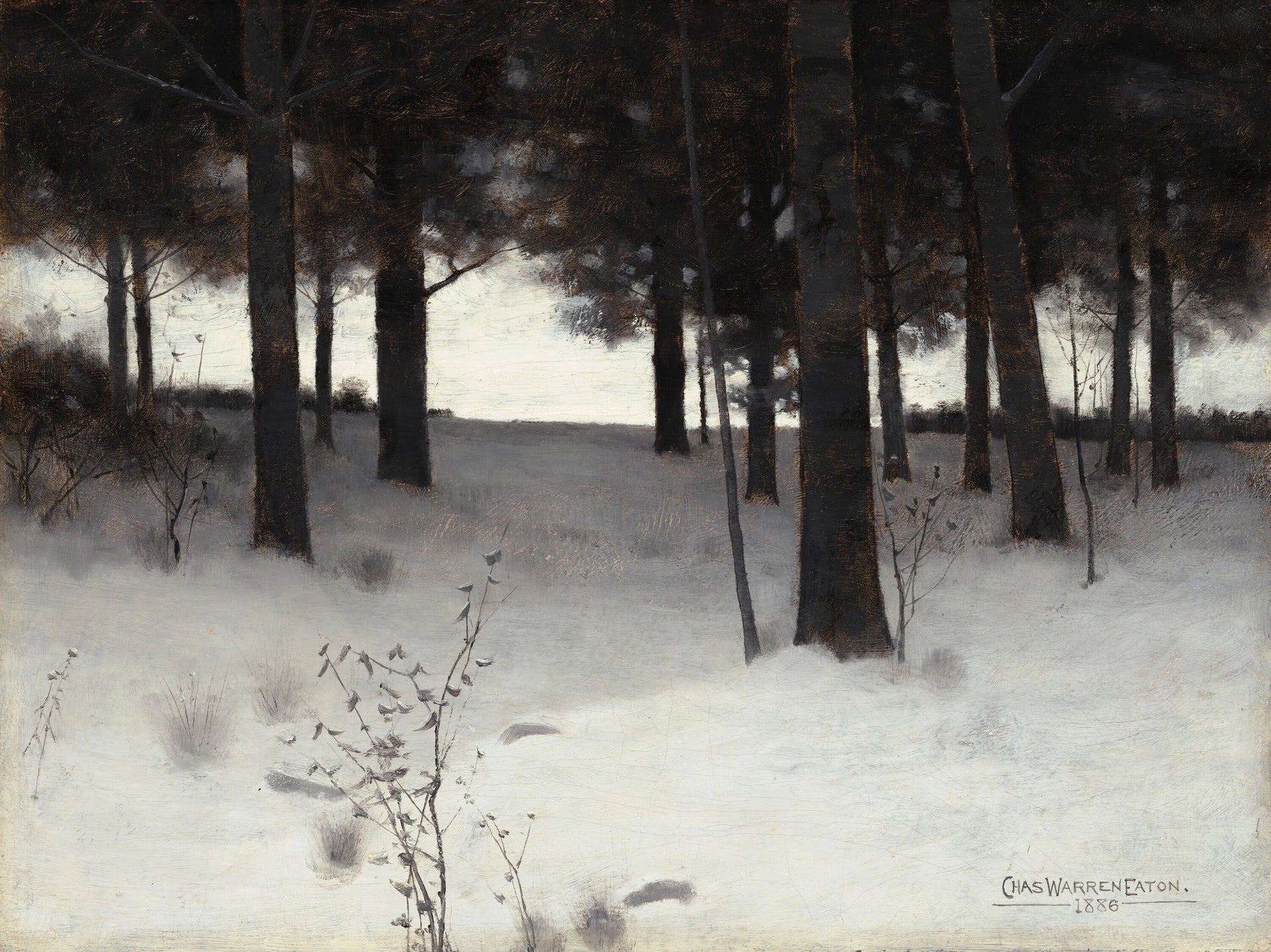 Bois en hiver - Charles Warren Eaton