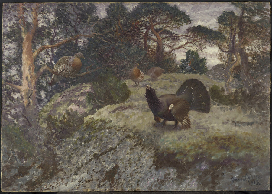 Bolderende auerhaan met drie hennen - Bruno Liljefors