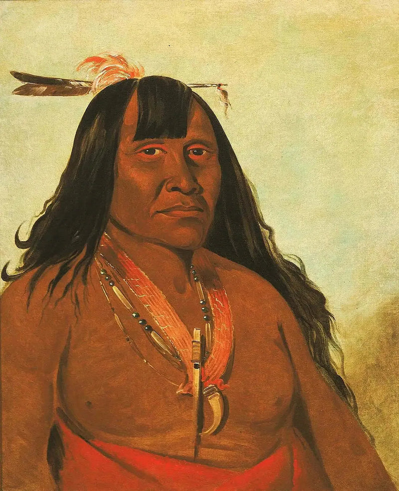 Bón-són-gee, New Fire, bir çete lideri - George Catlin