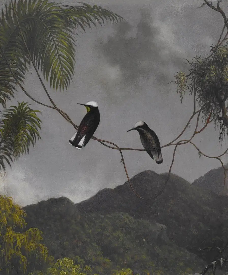 Kar Maskesi - Martin Johnson Heade