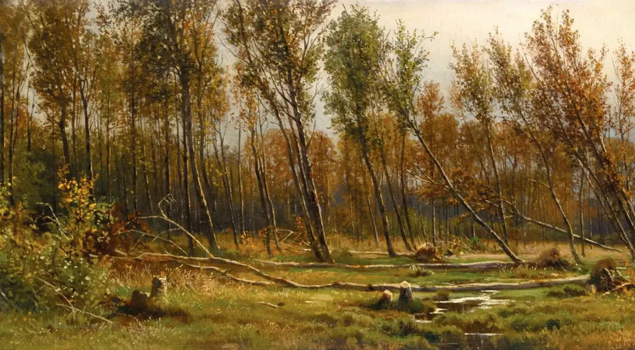 Fırtınadan Sonra Bouleaux - Ivan Chichkine