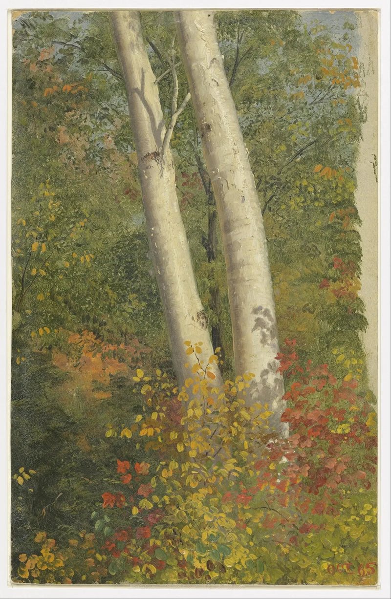 Sonbaharda Bouleaux - Frederic Edwin Church