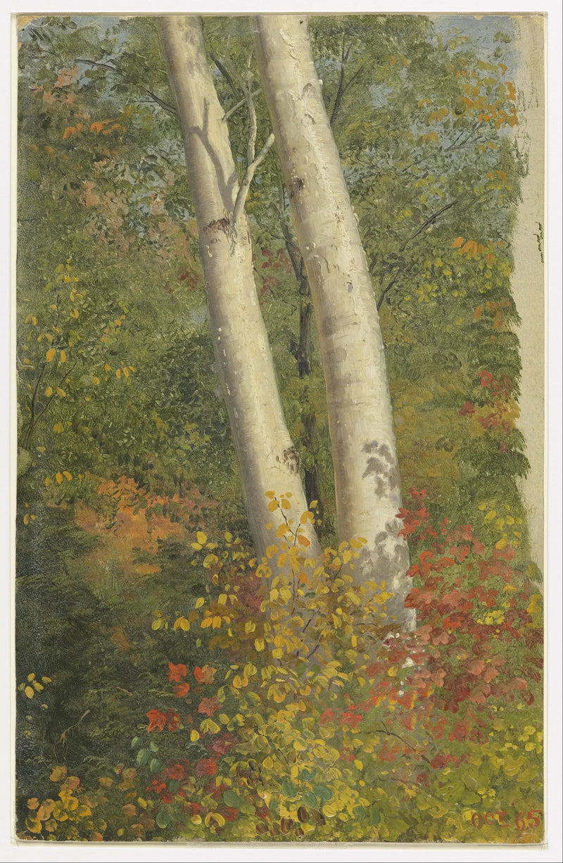 Sonbaharda Bouleaux - Frederic Edwin Church