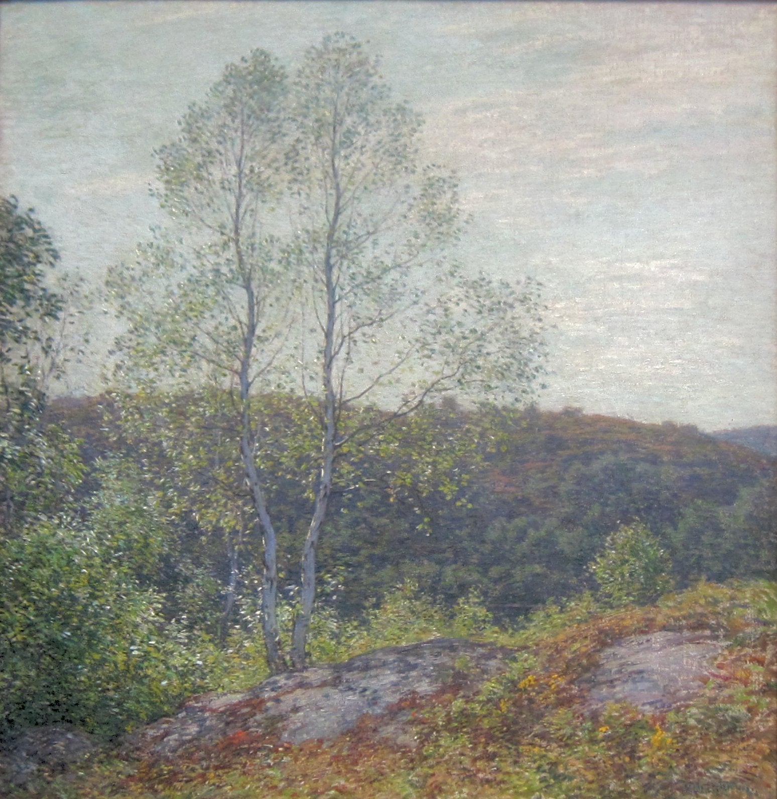 Bouleaux jumeaux - Willard Metcalf