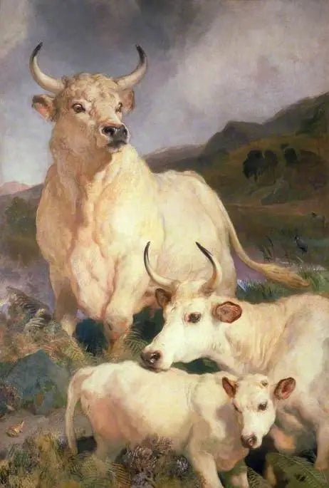 Chillingham, Northumberland vahşi sığırları - Edwin Henry Landseer