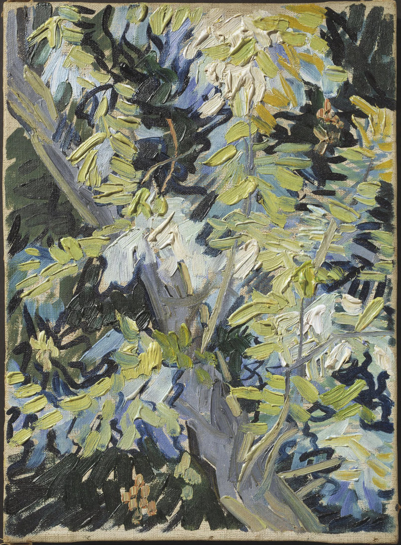 Çiçekli akasya dalları - Vincent van Gogh