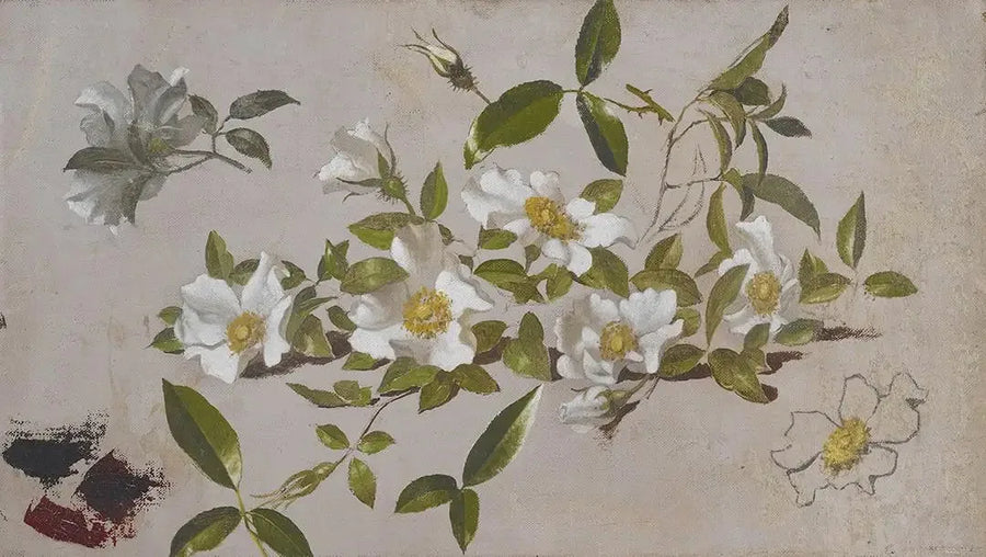 Cherokee Gülleri Dalı - Martin Johnson Heade