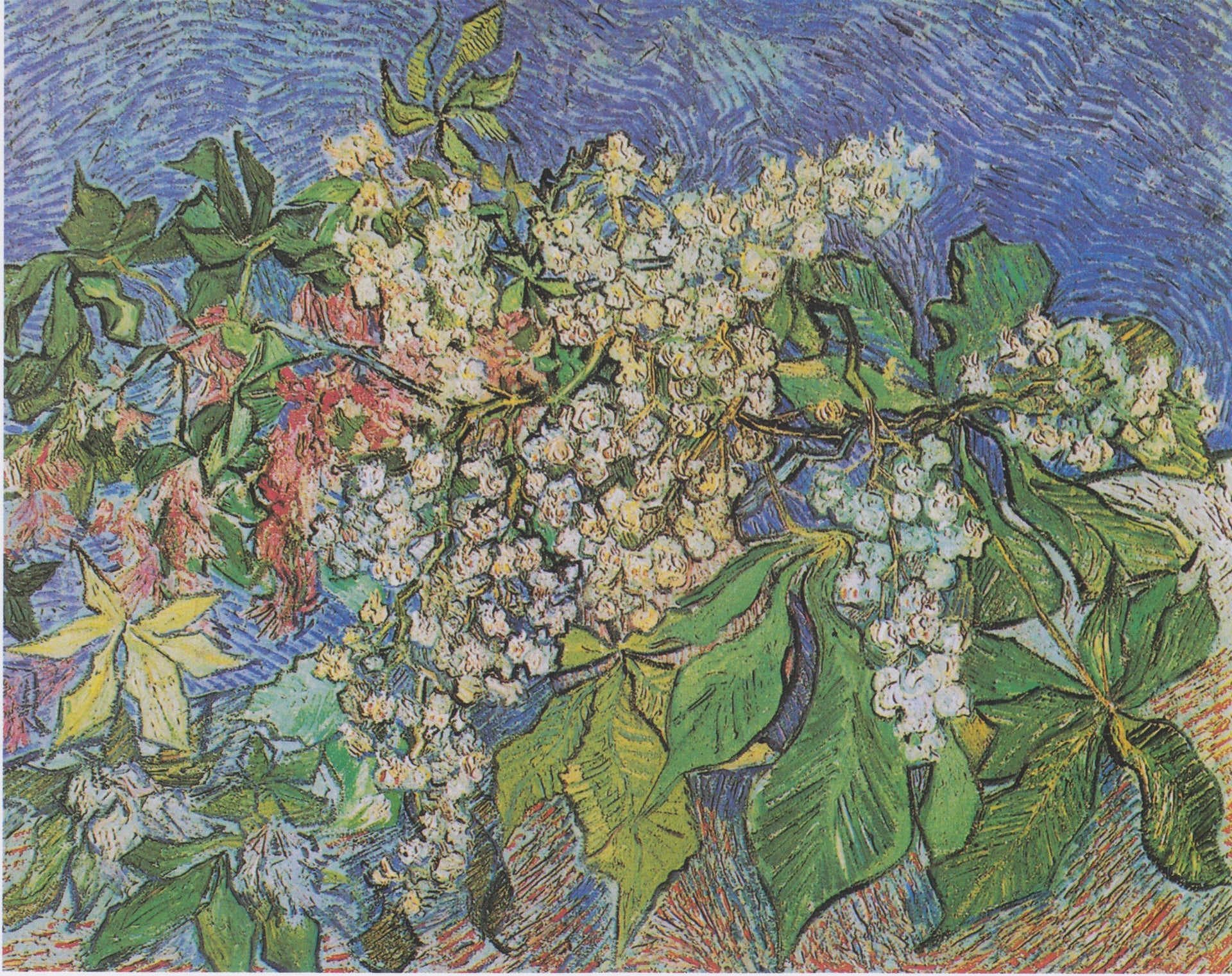 Branches de marronnier en fleurs, nature morte de Vincent van Gogh, mai 1890