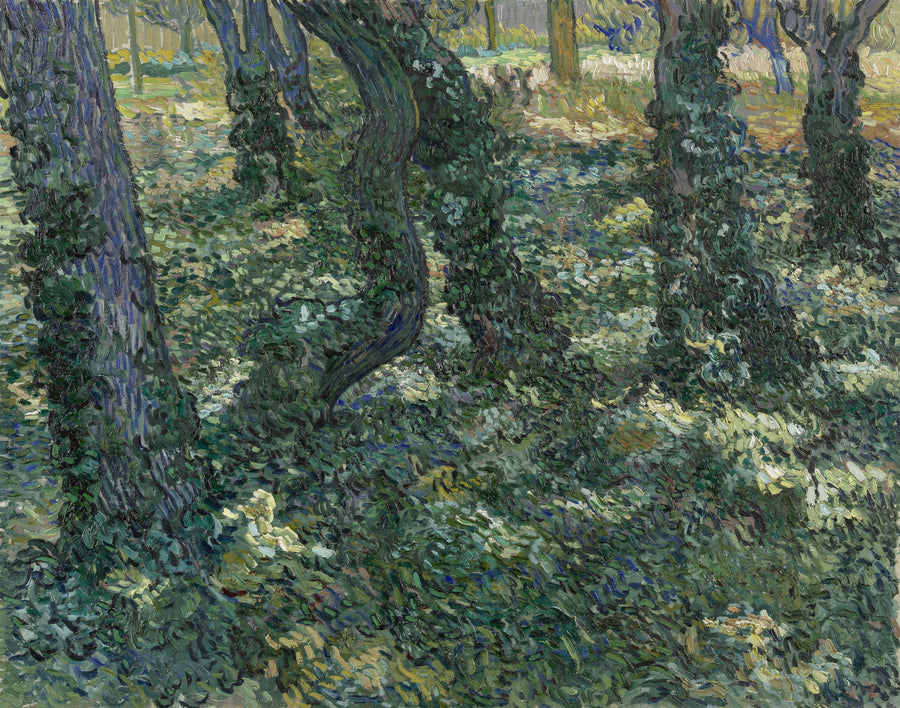 Çalılar - Vincent van Gogh