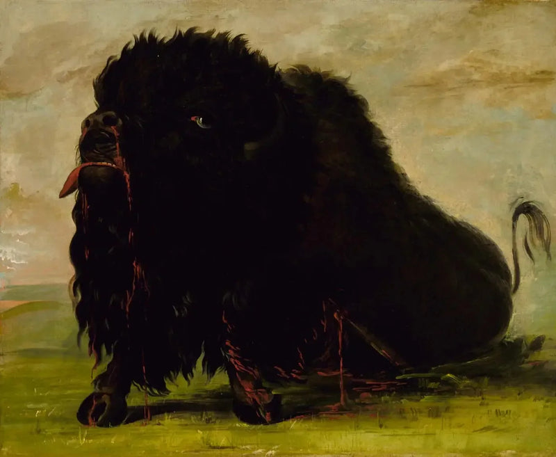 Ölüme Yaklaşan Buffalo, Bir Okla Vurulmuş - George Catlin