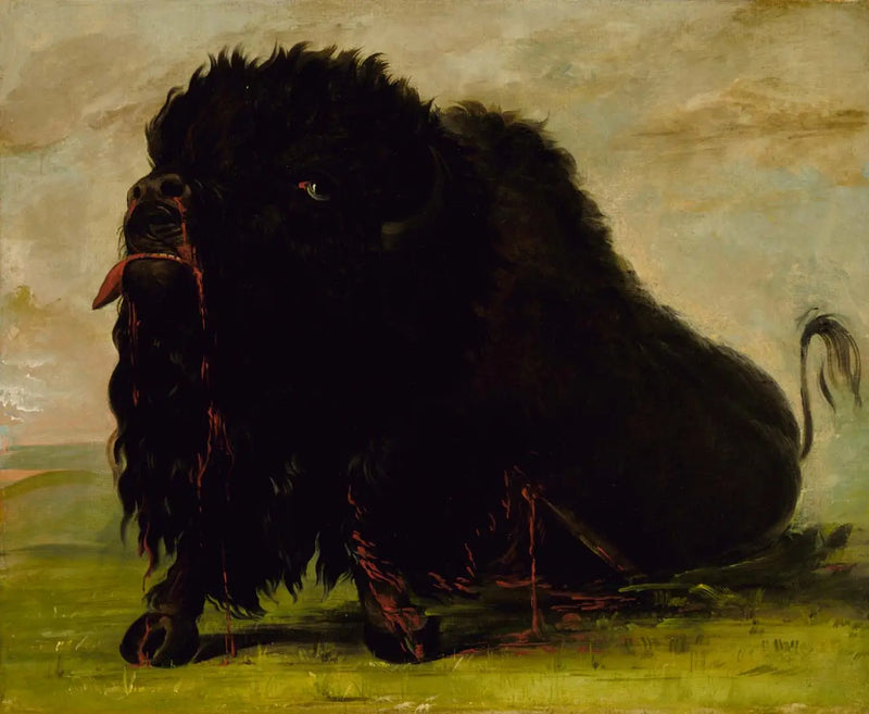 Ölüme Yaklaşan Buffalo, Bir Okla Vurulmuş - George Catlin