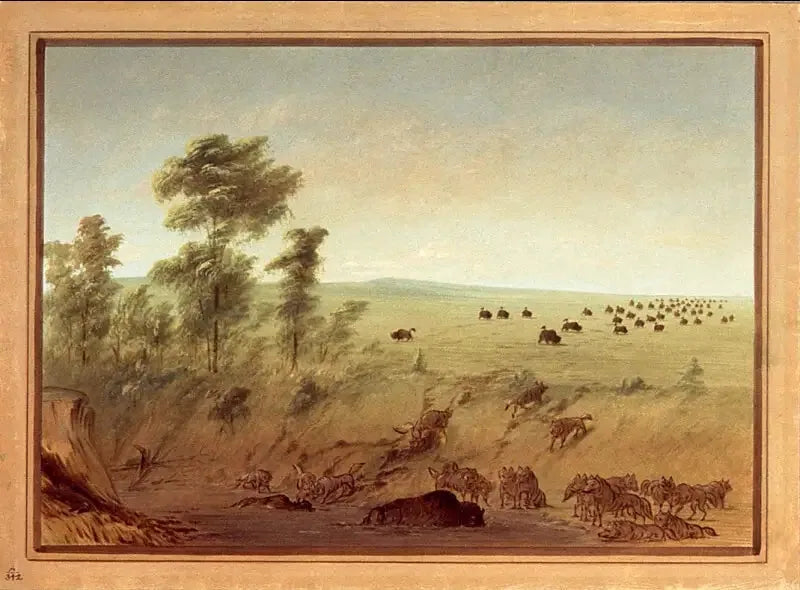 Şaşkın Boğulmuş Boğalar ve Kurtlar - George Catlin