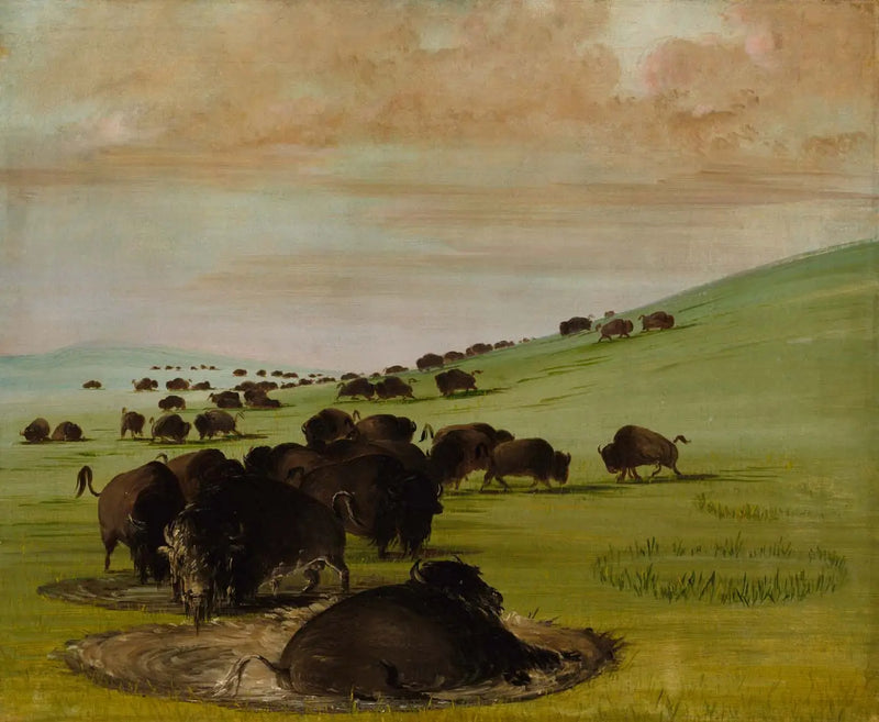 Erkek bufalolar bataklıkta - George Catlin