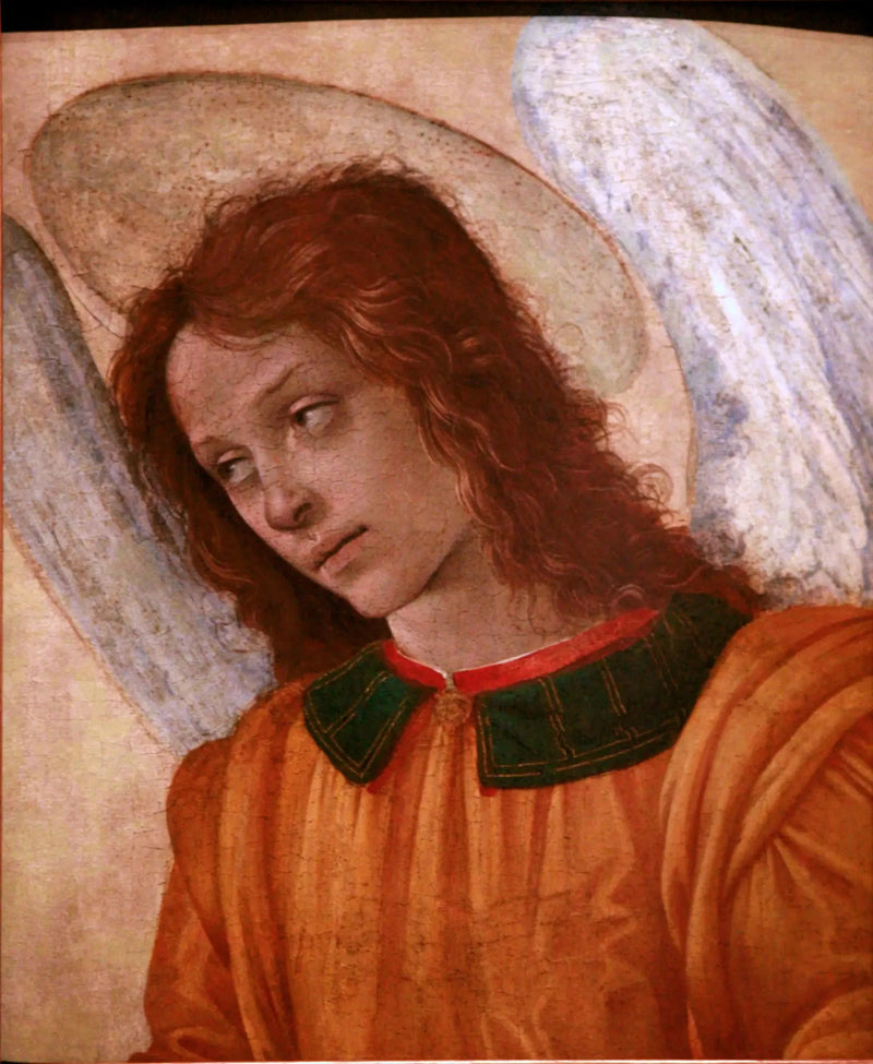 Melek Büstü - Filippino Lippi