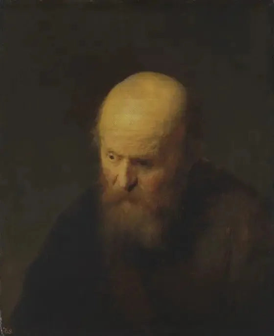 Kafası kel bir yaşlı adam büstü - Rembrandt
