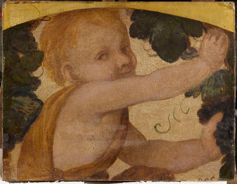 Putto büstü ve asma yaprakları - Bernardino Luini