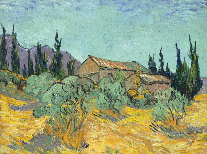 Zeytin ağaçları ve serviler arasında ahşap kulübeler - Vincent van Gogh
