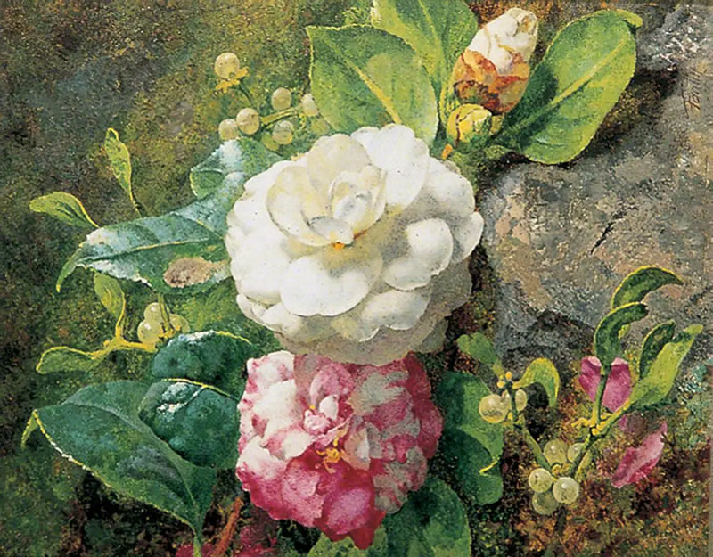 Kameliyalar - Henri Fantin-Latour