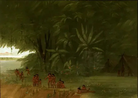 Mauhees Kampı - George Catlin