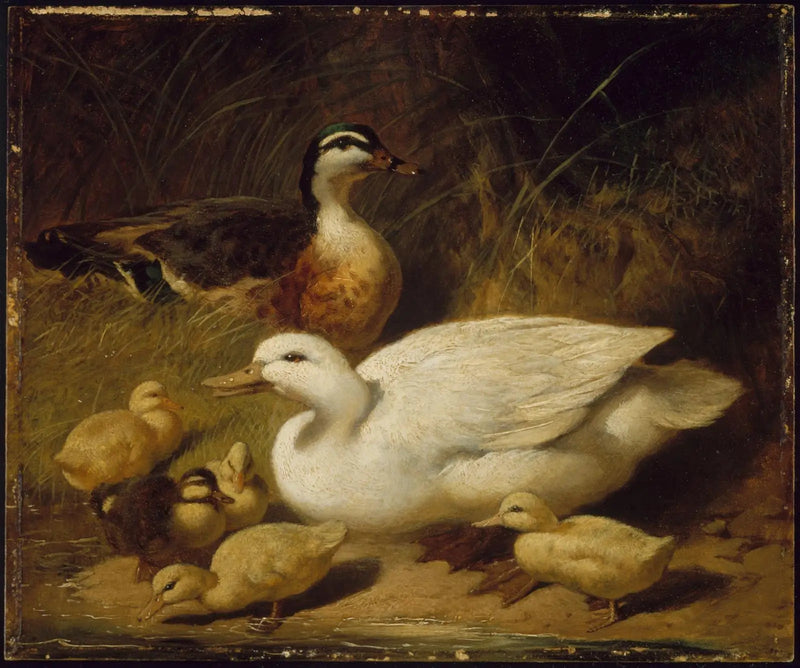 Ördekler ve ördek yavruları - John Frederick Herring, Sr.