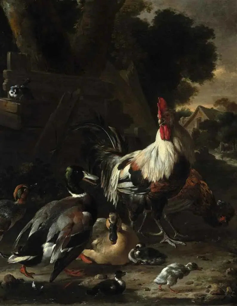 Kuşlar, tavuklar ve diğer kümes hayvanları bir avluda - Melchior de Hondecoeter