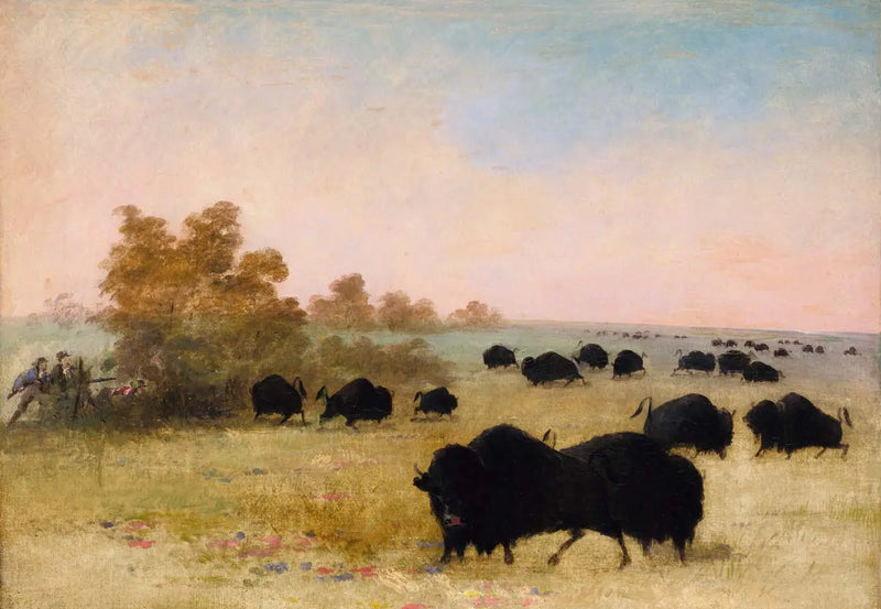 Catlin ve Parti Takip Buffalo, Haut-Missouri - George Catlin