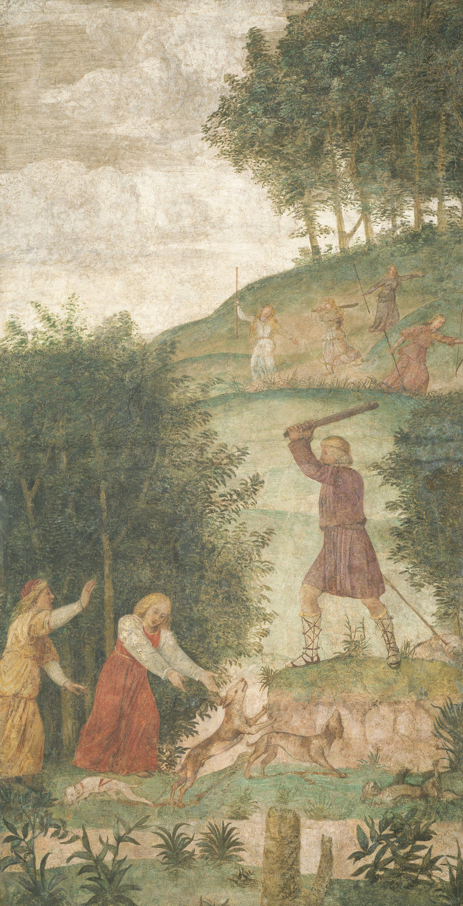 Céphale puni à la chasse - Bernardino Luini