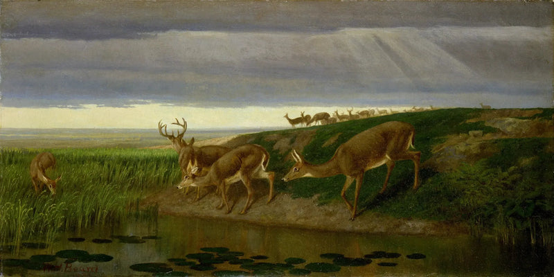 Çiftlikte Geyik - William Holbrook