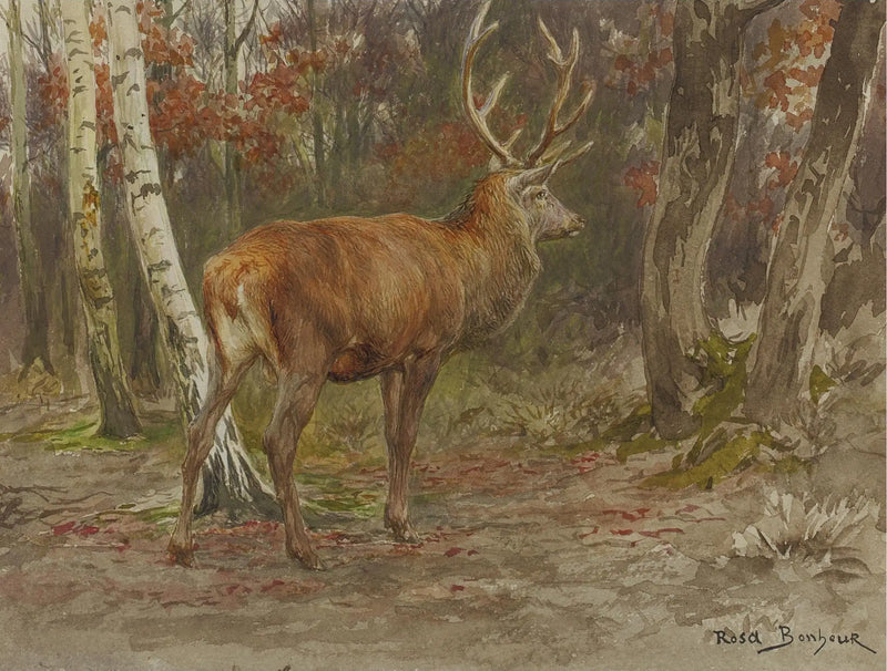 Dikkatli Geyik - Rosa Bonheur