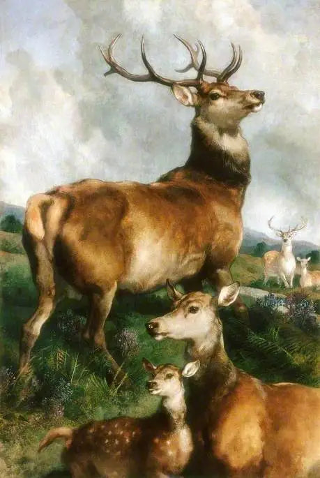 Chillingham Park Geyikleri, Northumberland - Edwin Henry Landseer