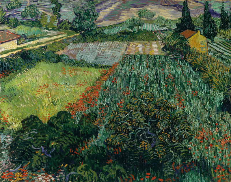 Gelincik Tarlası - Vincent van Gogh