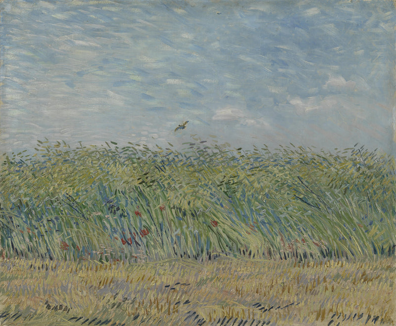 Çayırda Buğday - Vincent van Gogh
