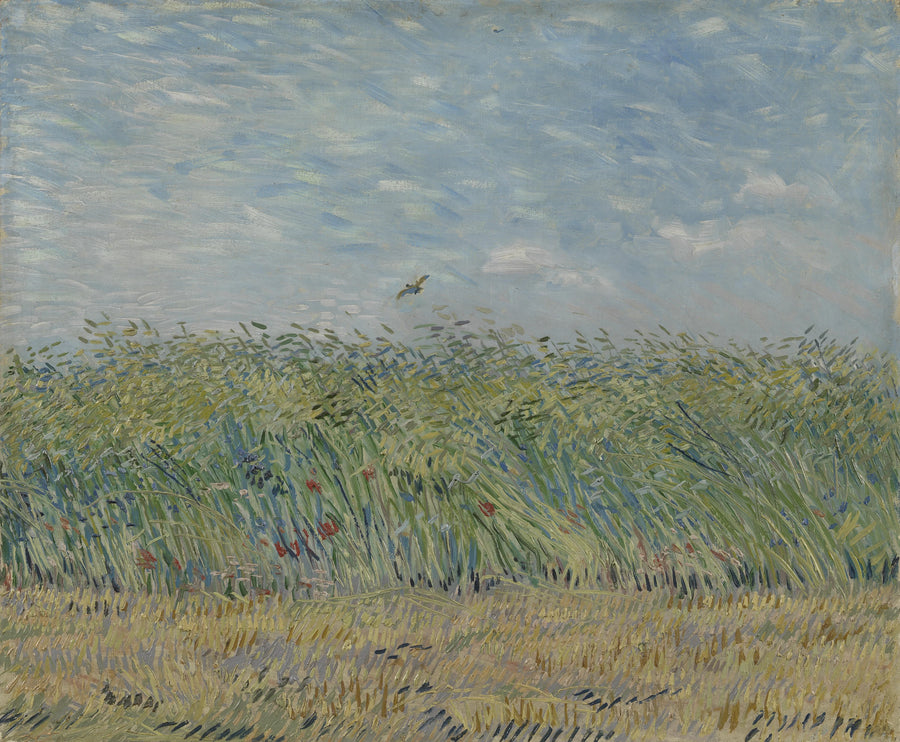 Çayırda Buğday - Vincent van Gogh