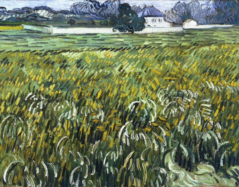 Auvers'te Evli Buğday Tarlası - Vincent van Gogh