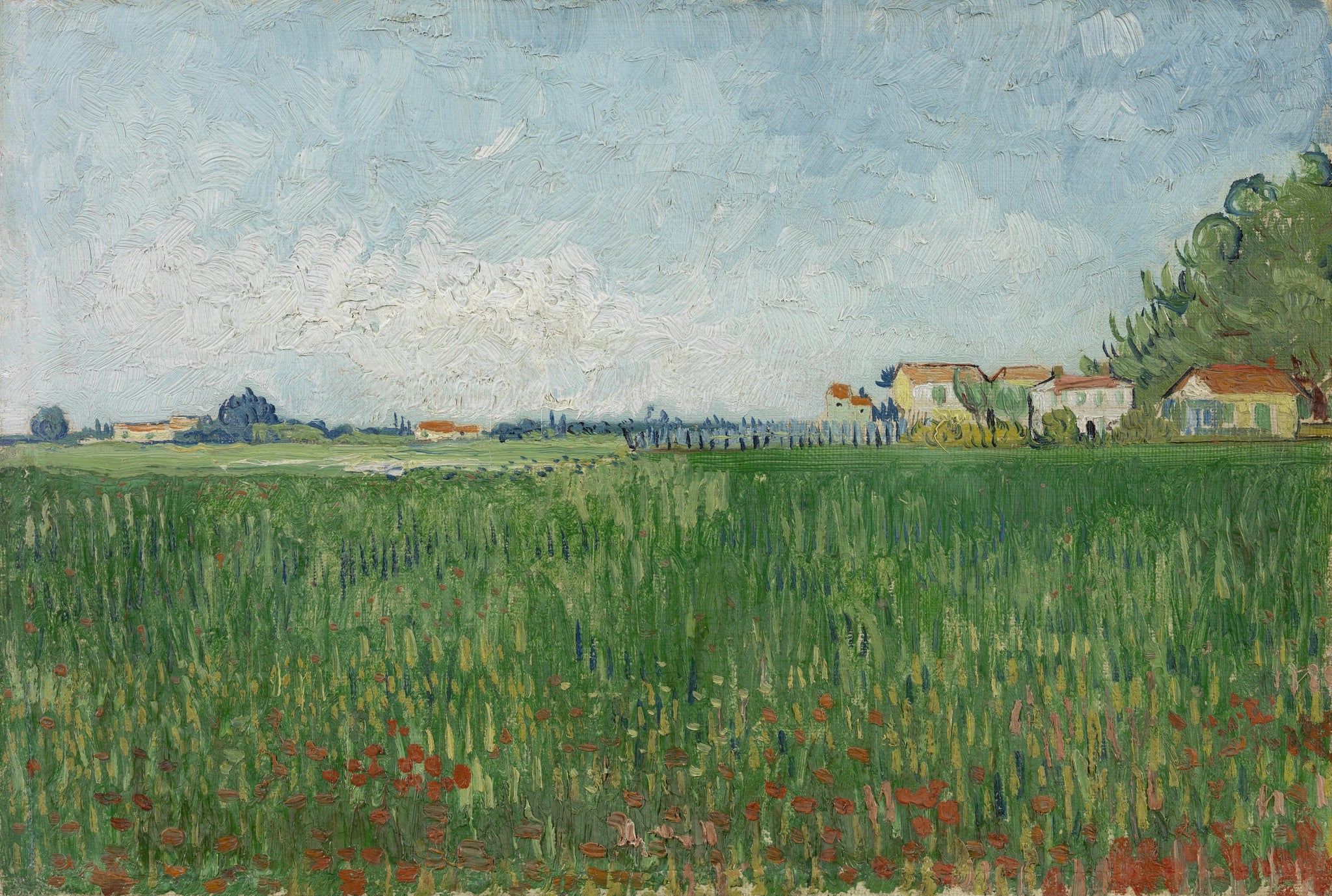 Champ de coquelicots F576 de Vincent van Gogh, Van Gogh Museum