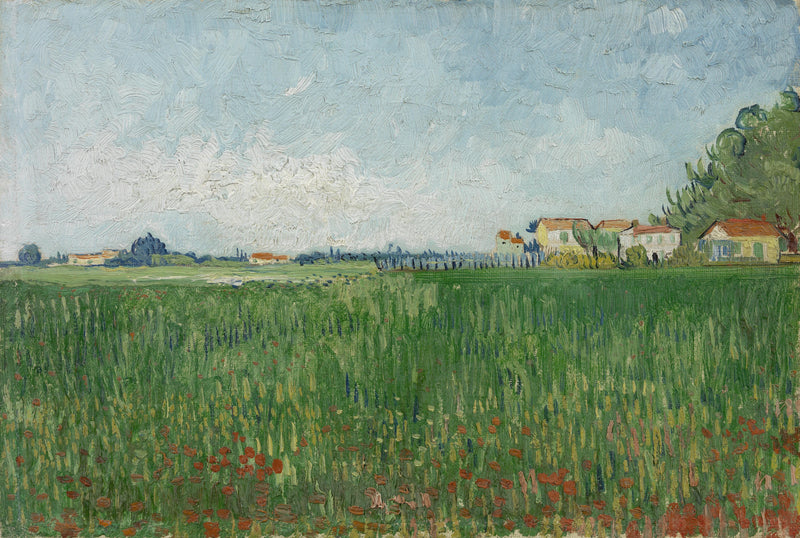 Gelincik Tarlası - Vincent van Gogh