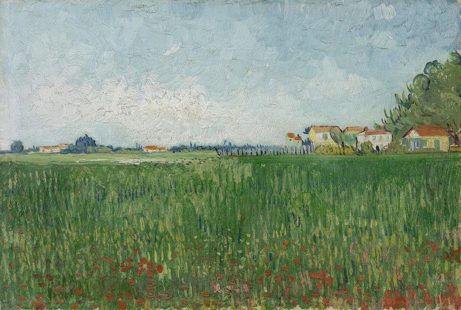 Gelincik Tarlası - Vincent van Gogh