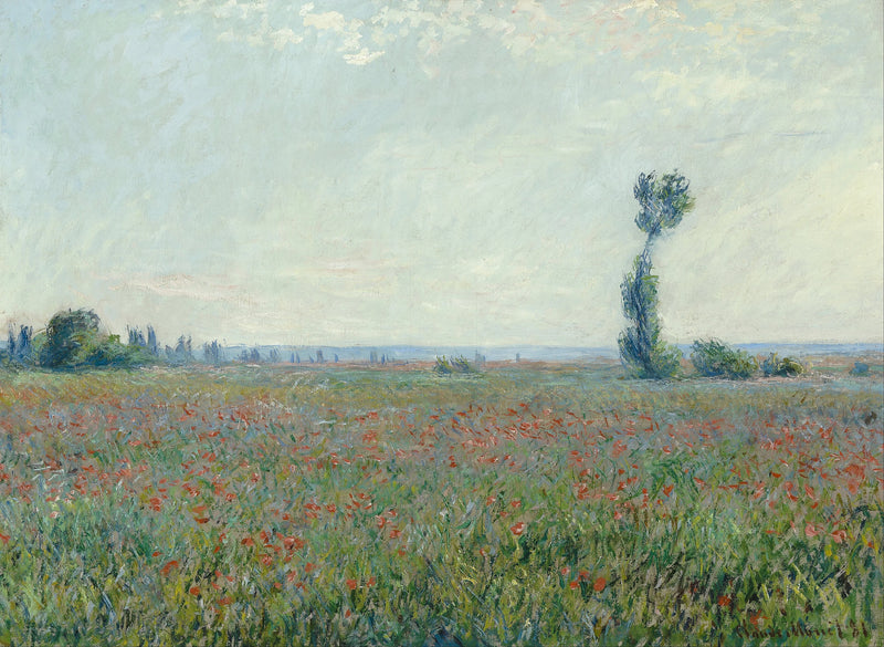 Haşhaş tarlası W677 - Claude Monet