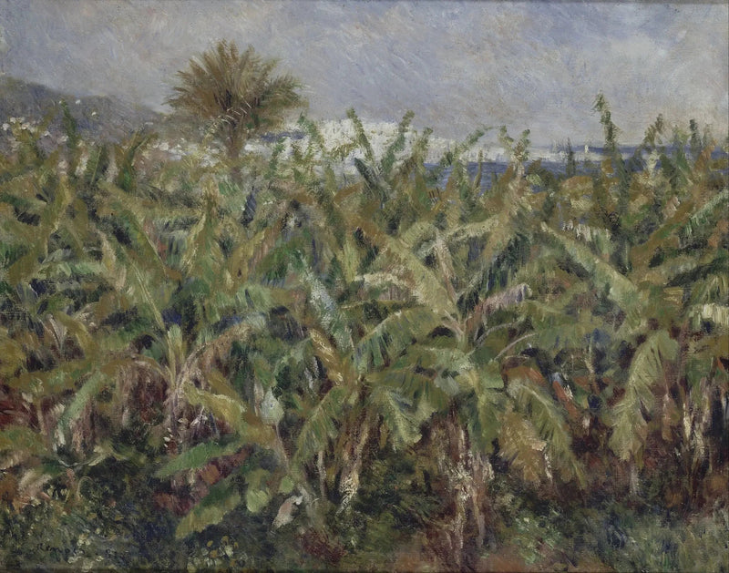 muz tarlası - Pierre-Auguste Renoir