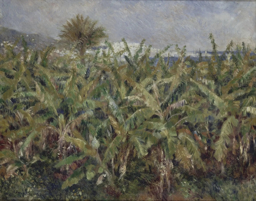 muz tarlası - Pierre-Auguste Renoir