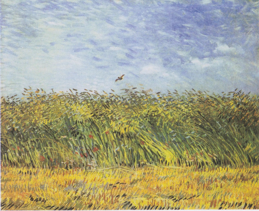 Çayırda Buğday - Vincent van Gogh