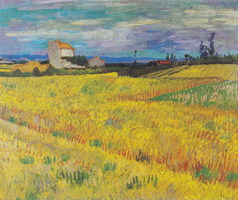 Buğday Tarlası - Vincent van Gogh