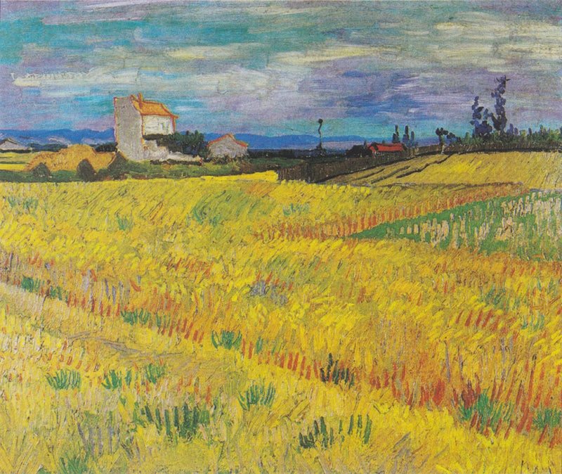 Buğday Tarlası - Vincent van Gogh