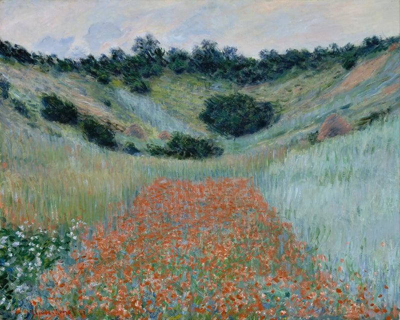 Giverny yakınlarında bir çukurda haşhaş tarlası - Claude Monet