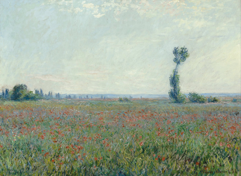 Haşhaş tarlası W677 - Claude Monet