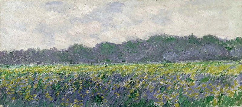 Giverny W1137'deki sarı iris alanı - Claude Monet