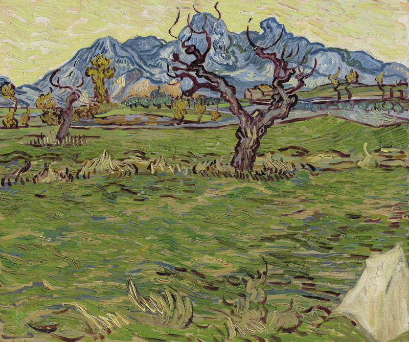 Alpilles yakınlarındaki tarlalar - Vincent van Gogh